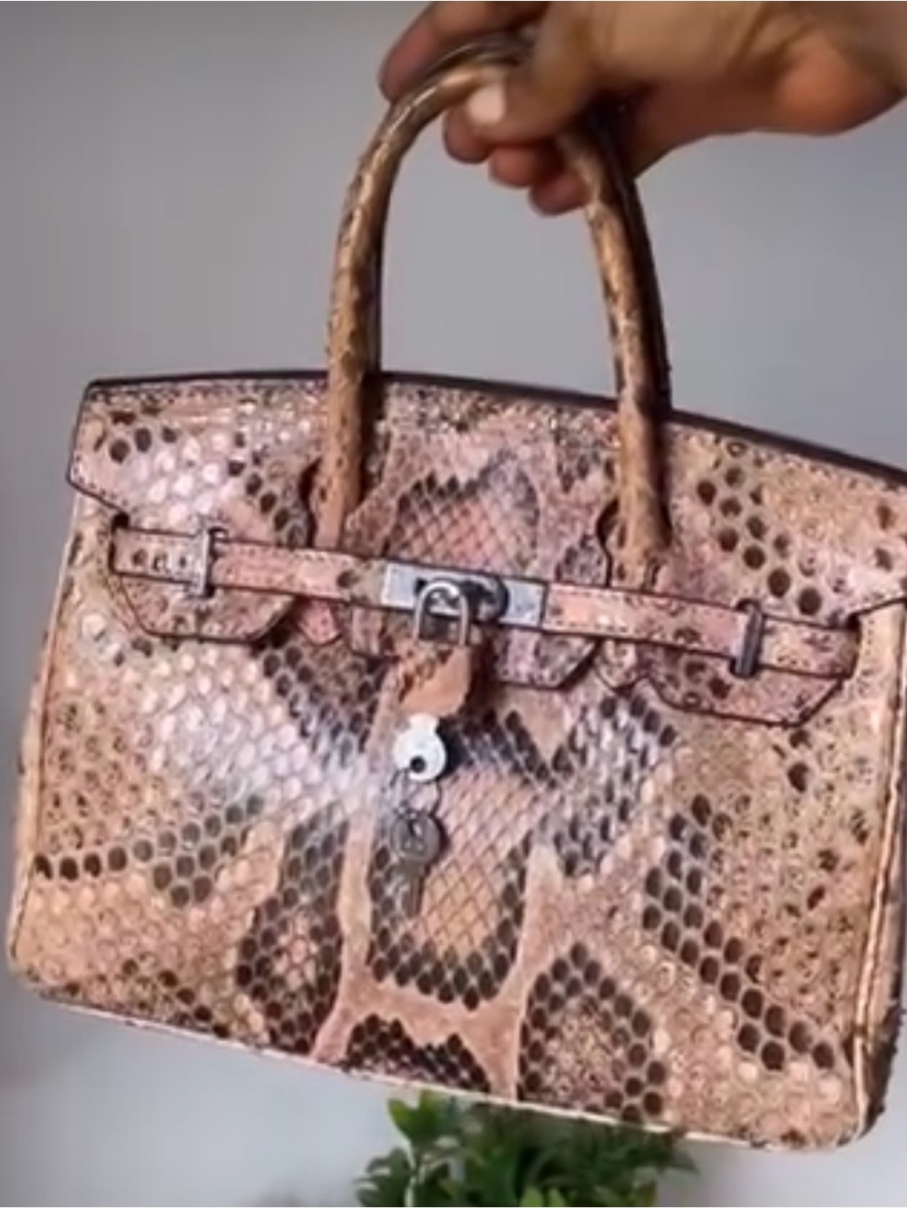 H BIRKIN 25 GENUINE PYTHON SNAKESKIN IMPORTED LEATHER FRENCH PHW BURMESE BROWN